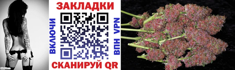 Купить наркотик аптеки Новозыбков LSD-25  Cocaine  Меф мяу мяу  Канабис 
