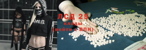 хмурый Осинники