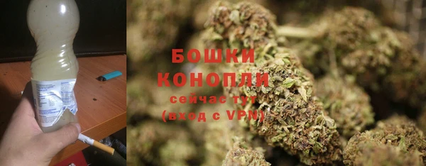 хмурый Осинники