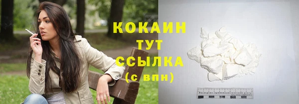 хмурый Осинники