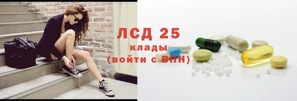 хмурый Осинники
