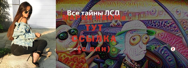 хмурый Осинники
