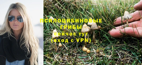 хмурый Осинники