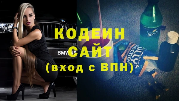 амф Дубна