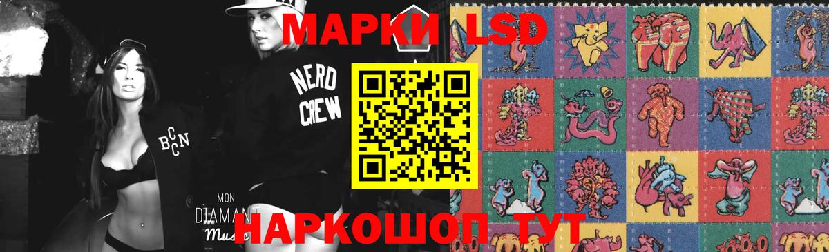 ЛСД экстази ecstasy  Вход с VPN  Новозыбков  LSD-25 экстази  LSD-25 экстази ecstasy 