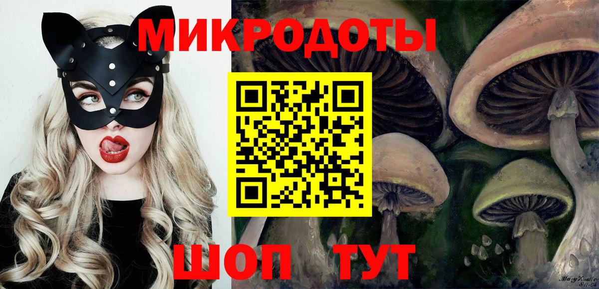 Галлюциногенные грибы мицелий Новозыбков