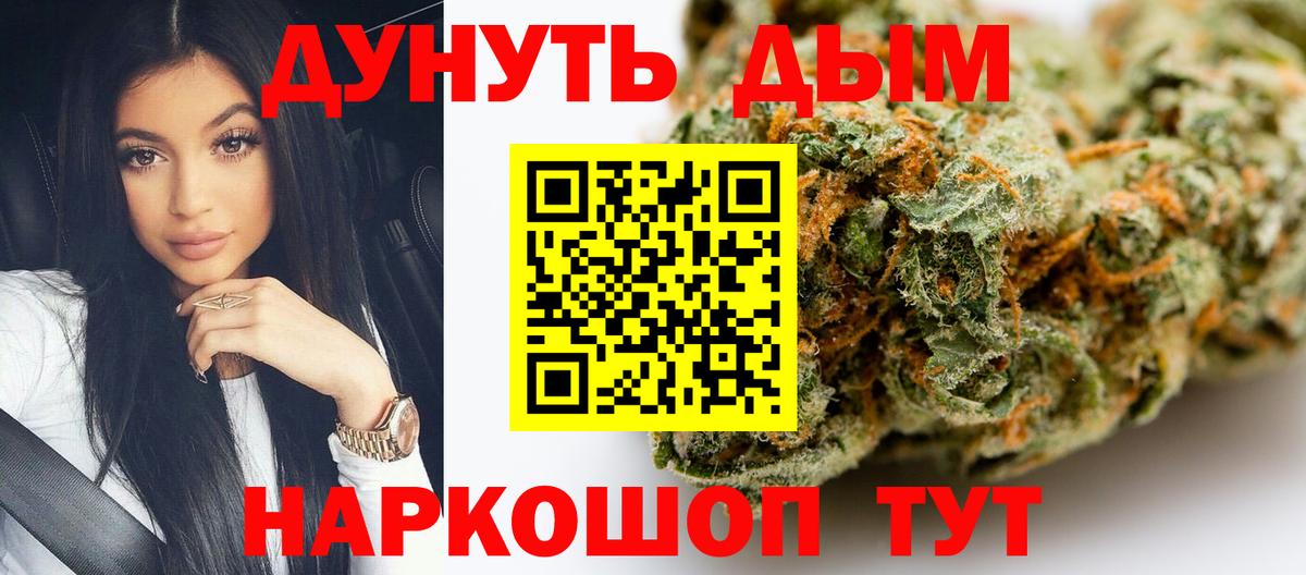 Канабис гибрид  Шишки марихуана план  Новозыбков  Бошки Шишки Bruce Banner  Вход с VPN 